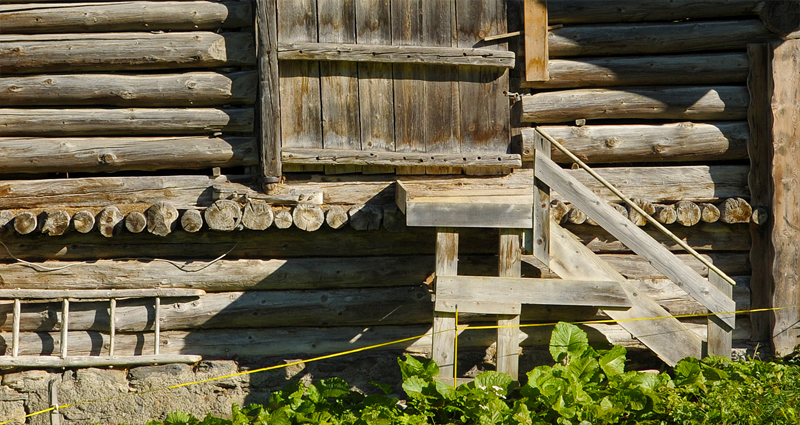 Atelier Leuthold Grafikdesign: Portfolio - Sitemap	 - foto landwirtschaft - Foto Landwirtschaft